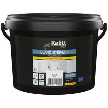 Peinture murs et plafonds monocouche satin 10 + 2 L blanc