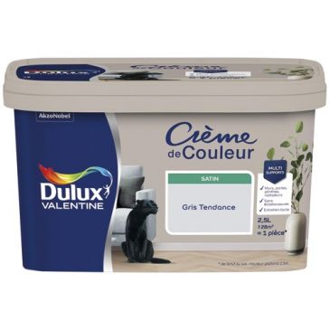 Valentine crème de couleur satin 2.5l gris tendance