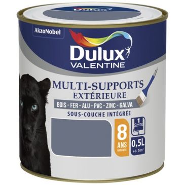 Valentine multisupport extérieure 0.5l titane